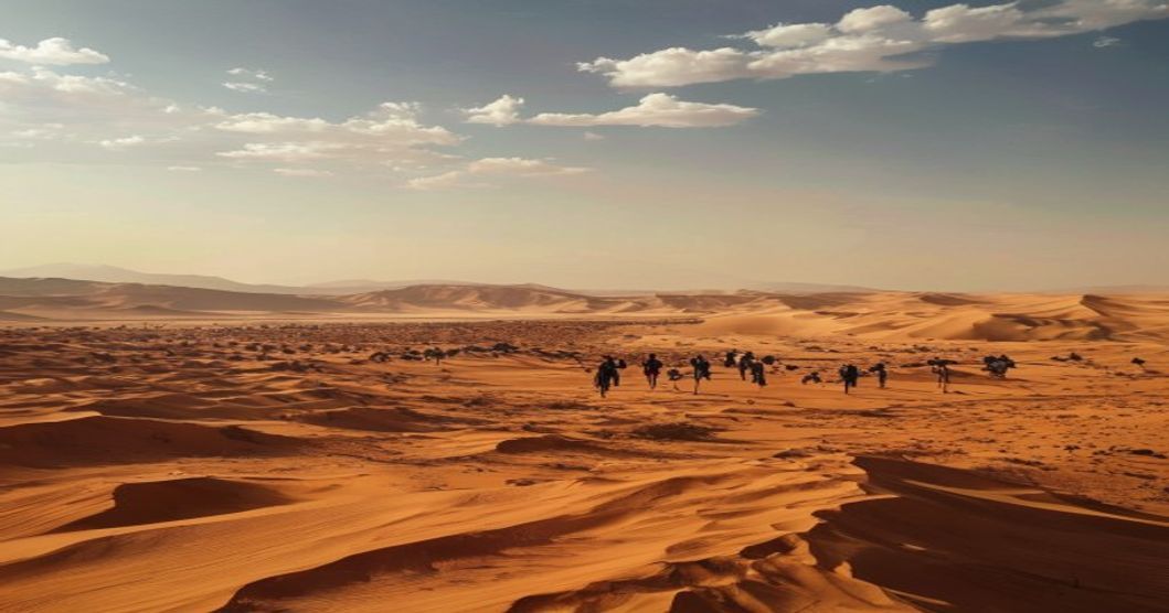 Negev desert protest