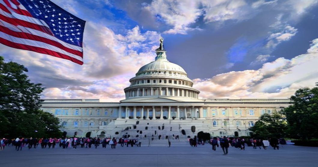 US Capitol building, american flag, political protest